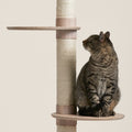 Multi-Level Cat Activity Climbing Tower